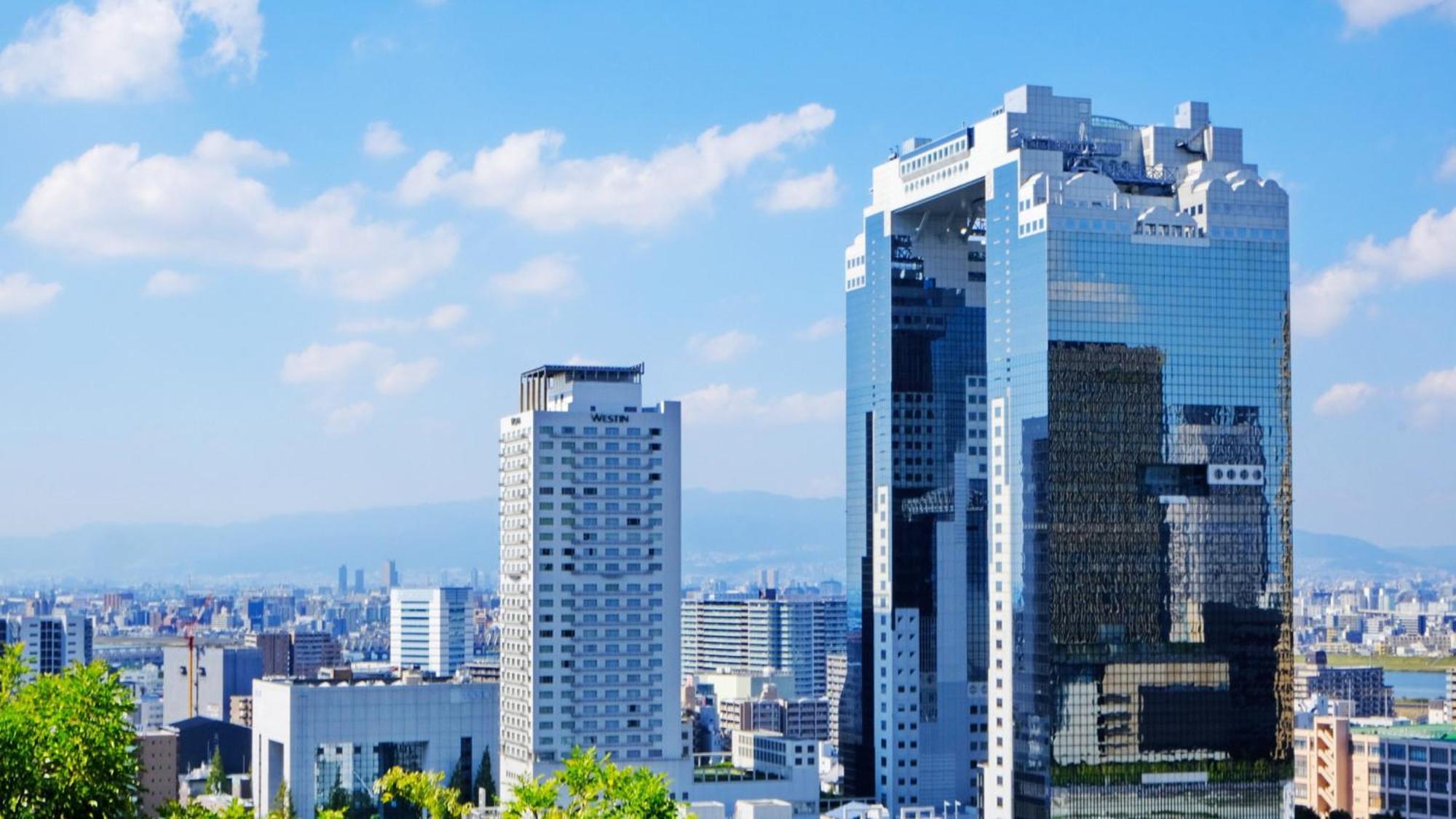 Toyoko Inn Shin-Osaka-Eki Higashi-Guchi Екстер'єр фото